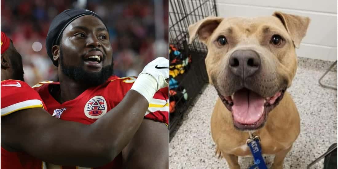 Derrick Nanadi celebrates super bowl wing by donating to shelter