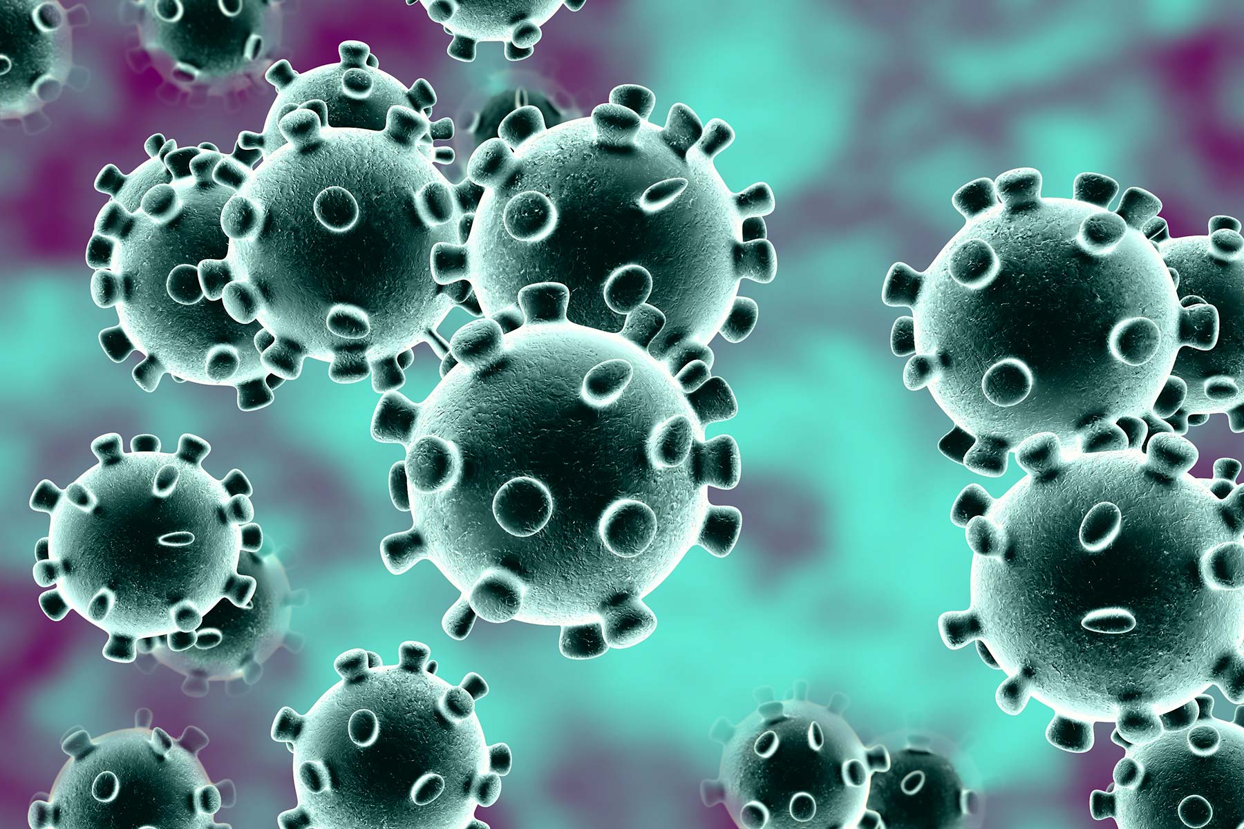 coronavirus update