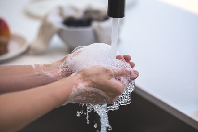 The science behind washing your hands? Why it works?